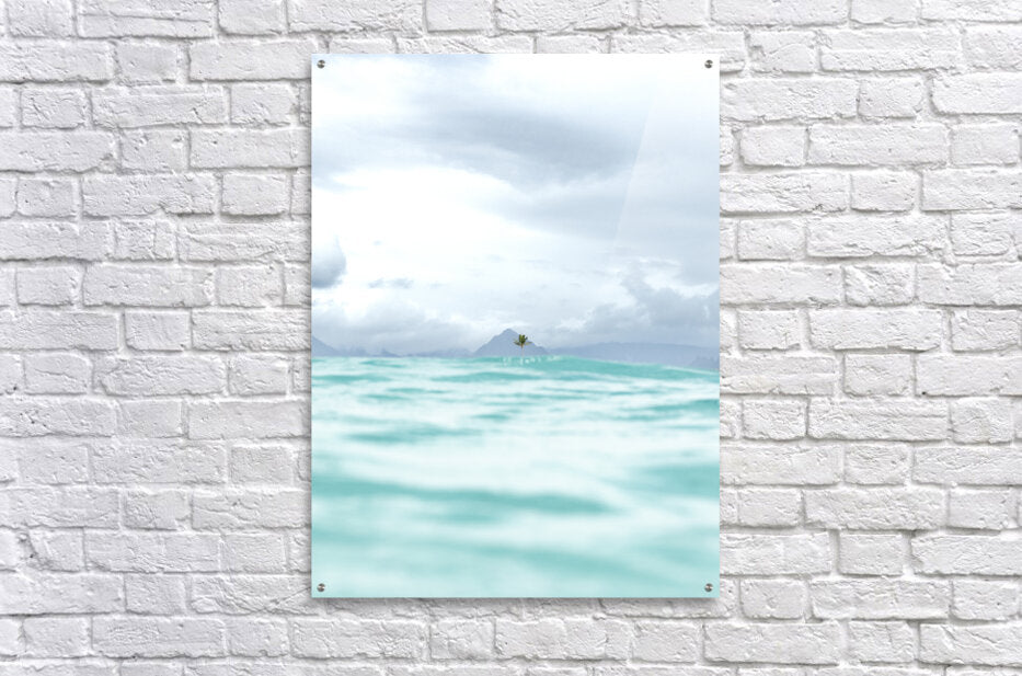 Acrylic Print