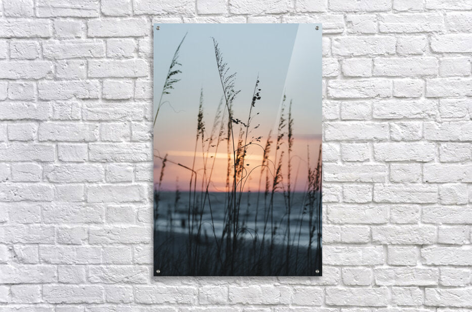 Acrylic Print