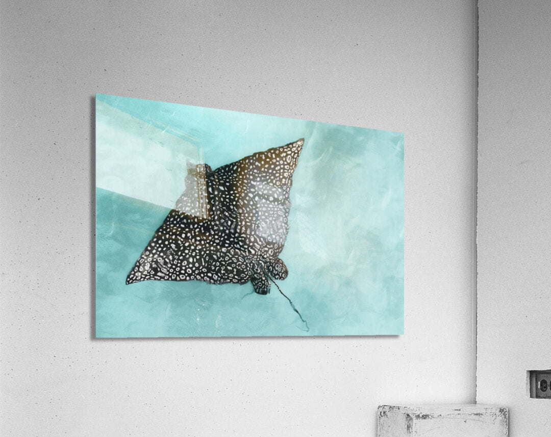 Acrylic Print