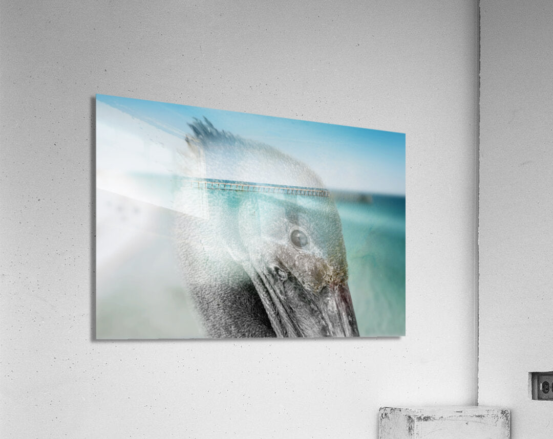 Acrylic Print