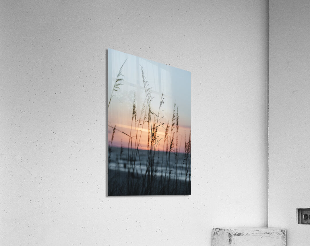 Acrylic Print