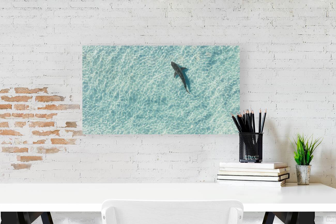 Giclée Stretched Canvas Print