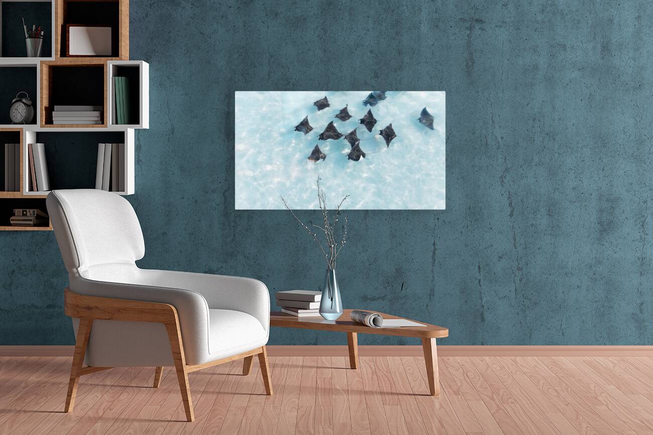 Giclée Stretched Canvas Print