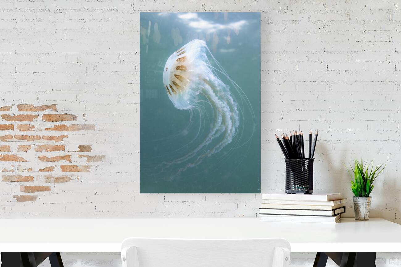 Giclée Stretched Canvas Print